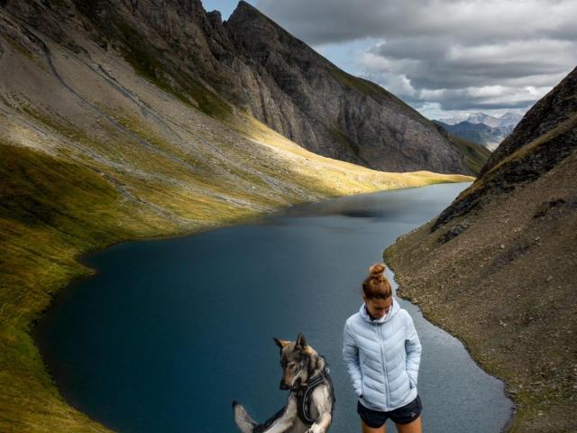 Aventuras con dos perros lobo